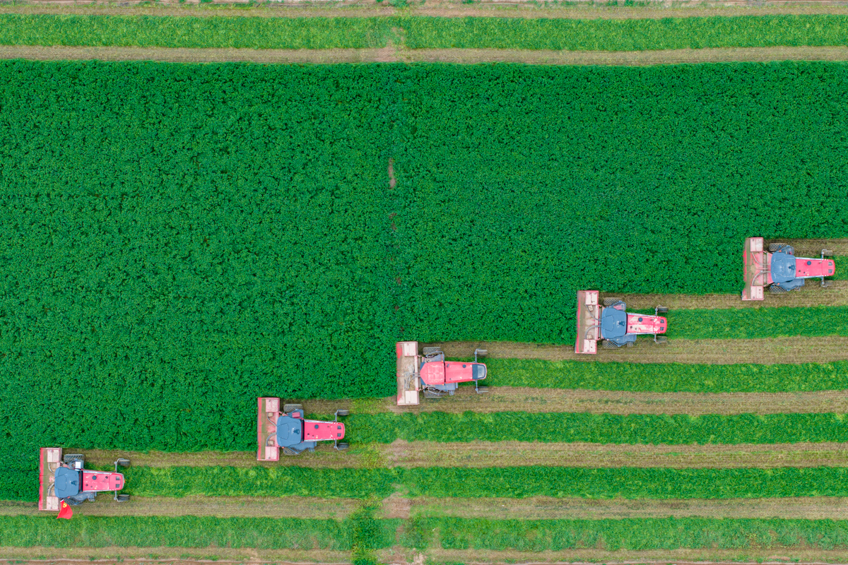 DJI_20230601094252_0198_D.jpg DJI_20230601094252_0198_D.jpg