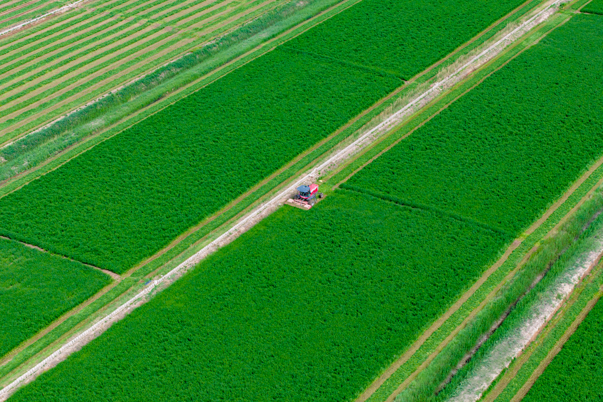 DJI_20230601100645_0249_D.jpg DJI_20230601100645_0249_D.jpg