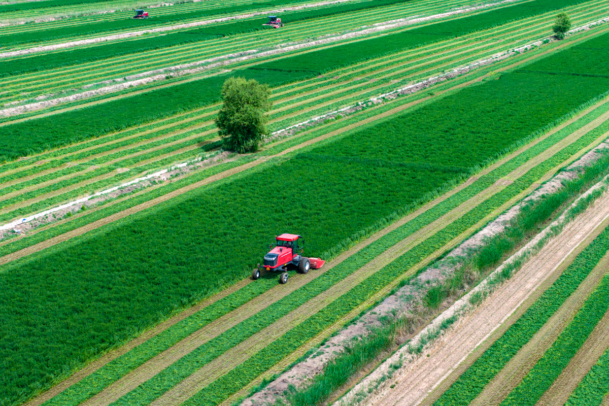 DJI_20230601102912_0331_D.jpg DJI_20230601102912_0331_D.jpg