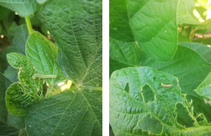 QQ截图20230721151928.jpg QQ截图20230721151928.jpg