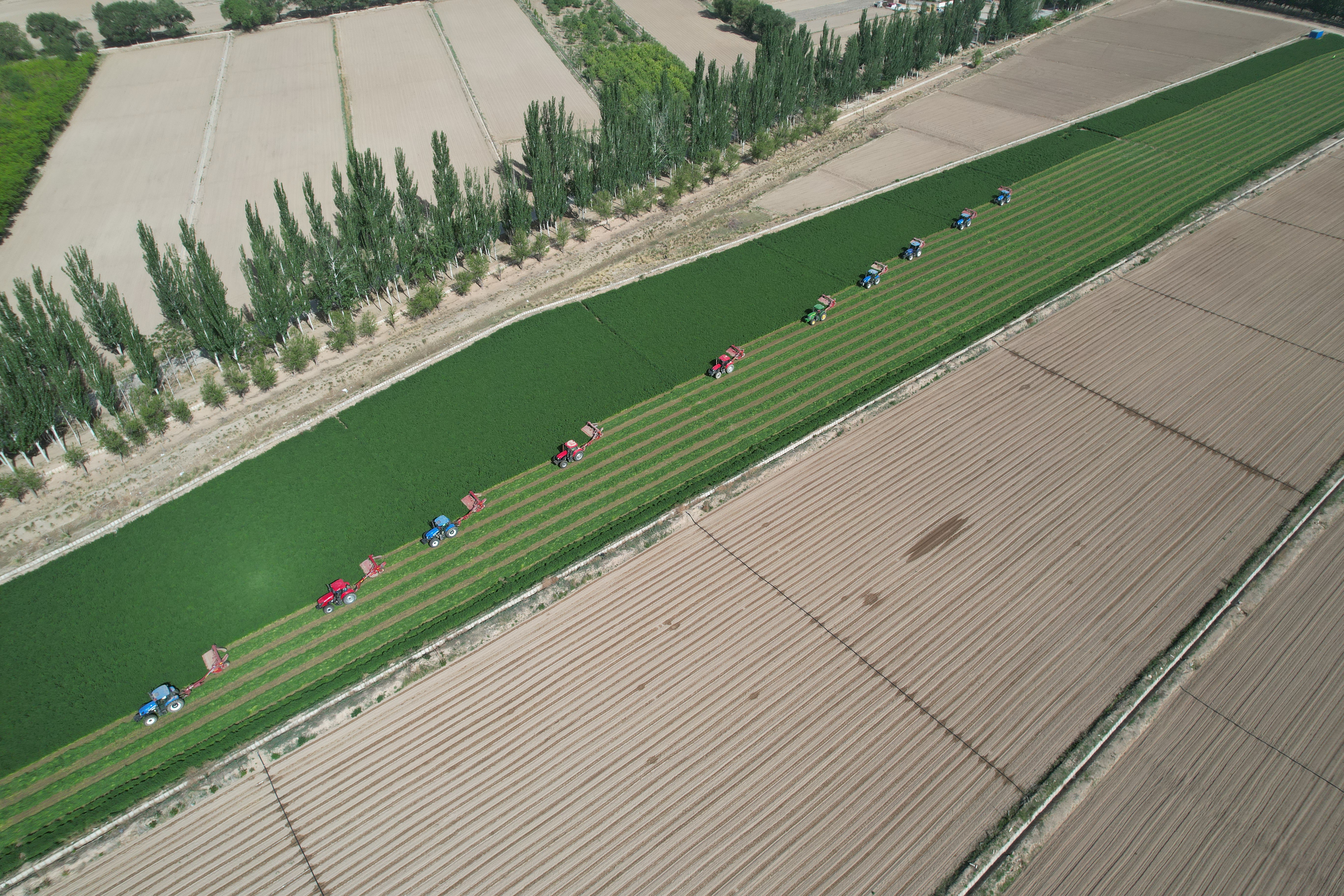 微信图片_20240511110709.jpg 微信图片_20240511110709.jpg