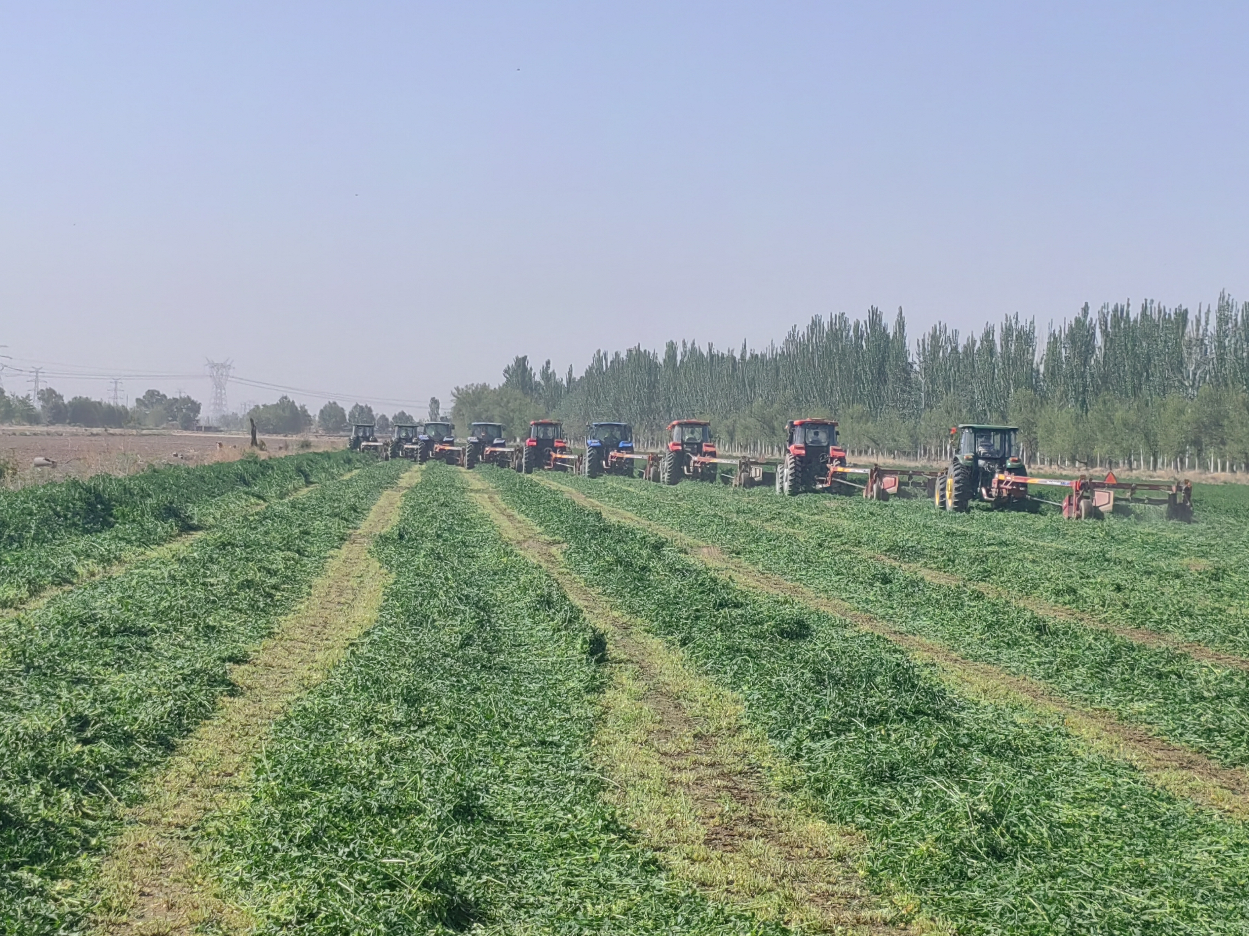 微信图片_20240511110745.jpg 微信图片_20240511110745.jpg