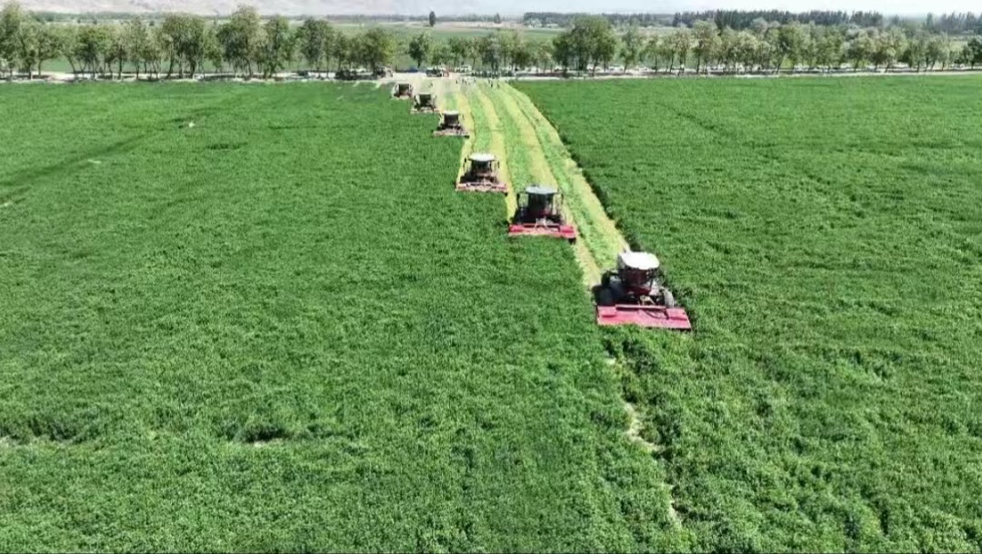 proxy (7).jpg proxy (7).jpg