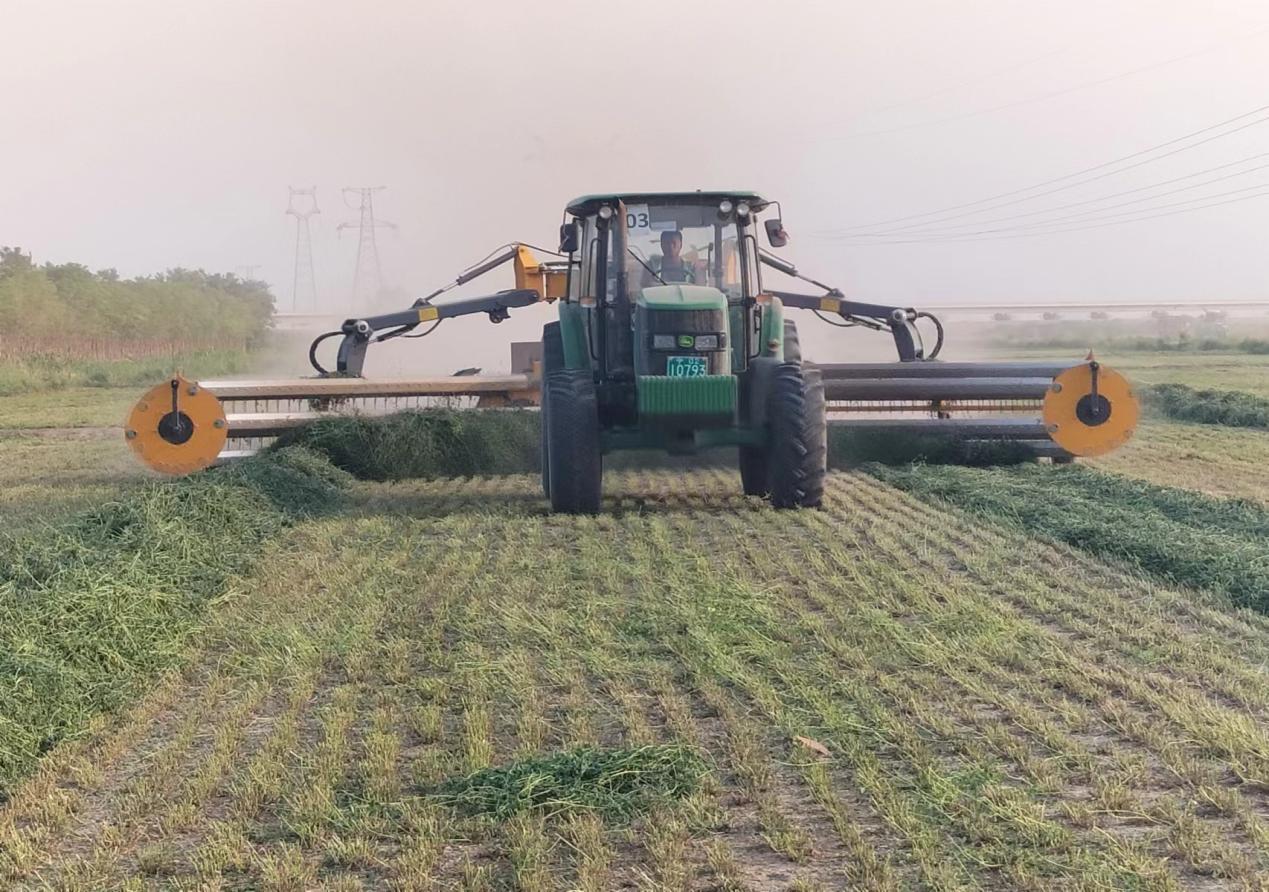 proxy (8).jpg proxy (8).jpg