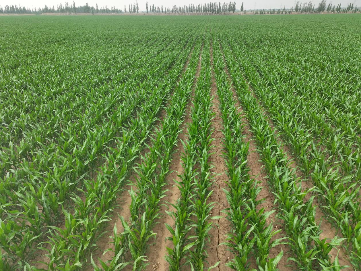 微信图片_20240612165620.png 微信图片_20240612165620.png