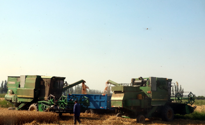 照片2.JPG 照片2.JPG