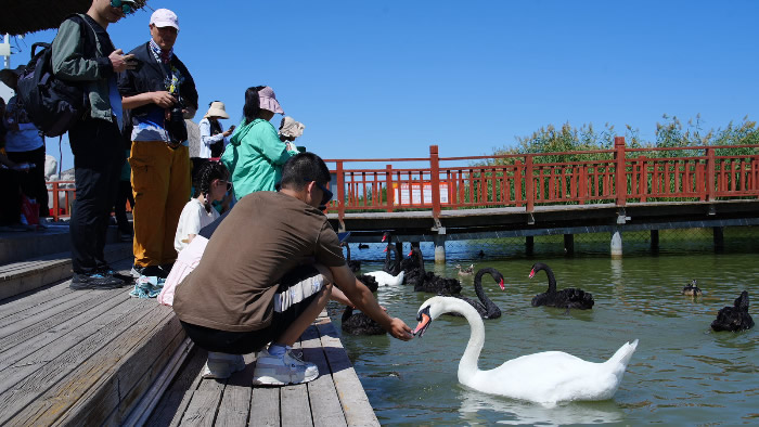 DSC06678-3108809188.jpg DSC06678-3108809188.jpg