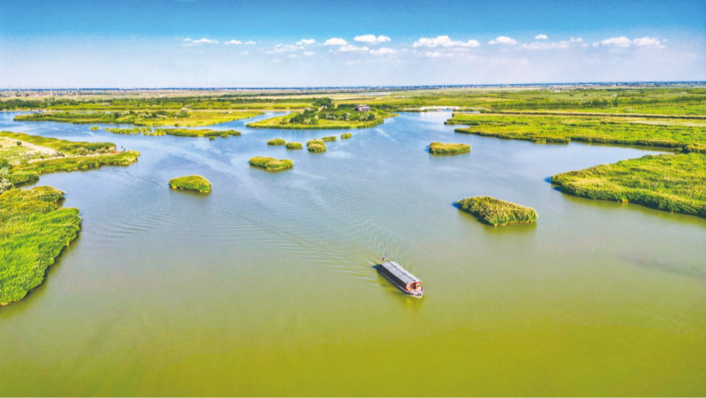 8C358B2C65068DEE84C704E9936C5EE6.png 8C358B2C65068DEE84C704E9936C5EE6.png