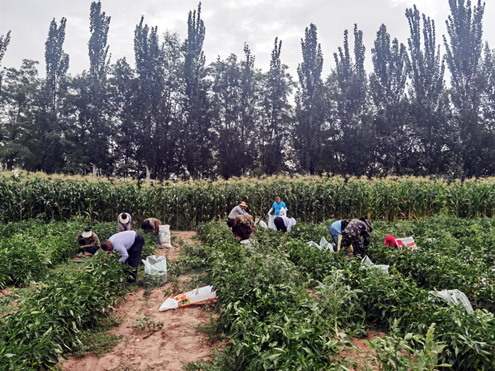 图片1.png 图片1.png