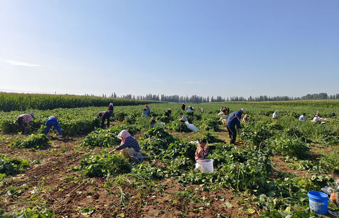 3768CDF7@390C445C.738BA866.jpg 3768CDF7@390C445C.738BA866.jpg