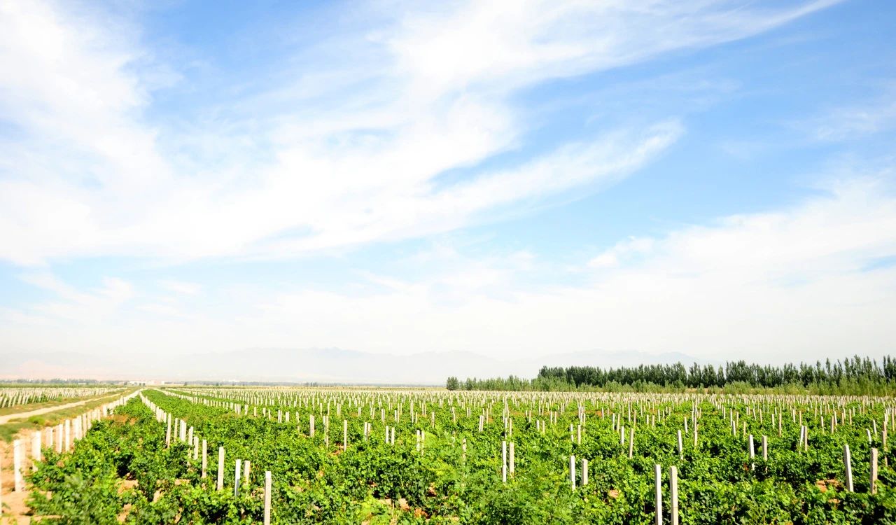 微信图片_20240811220653.jpg 微信图片_20240811220653.jpg