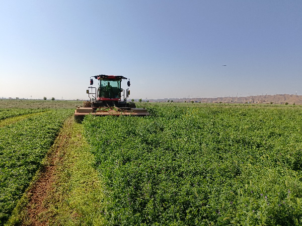 66333006@4AA1681C.B104BC66.jpg 66333006@4AA1681C.B104BC66.jpg