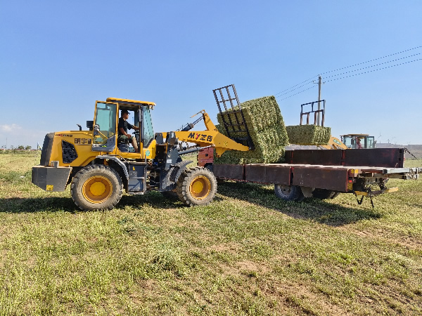 6405FCF8@75EF5748.B104BC66.jpg 6405FCF8@75EF5748.B104BC66.jpg