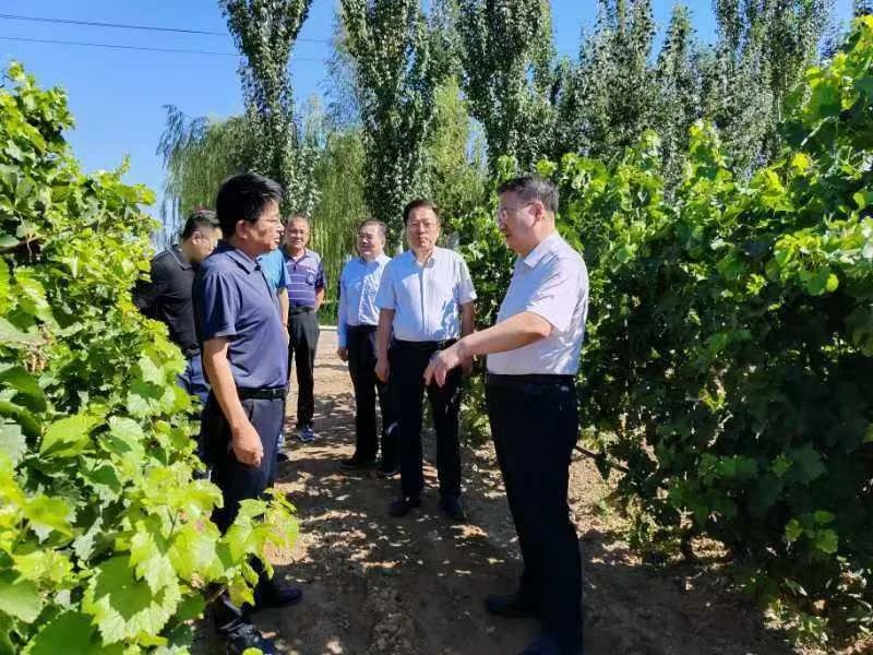 微信图片_20240820185324.jpg 微信图片_20240820185324.jpg