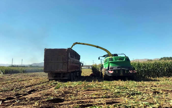 proxy (1).jpg proxy (1).jpg