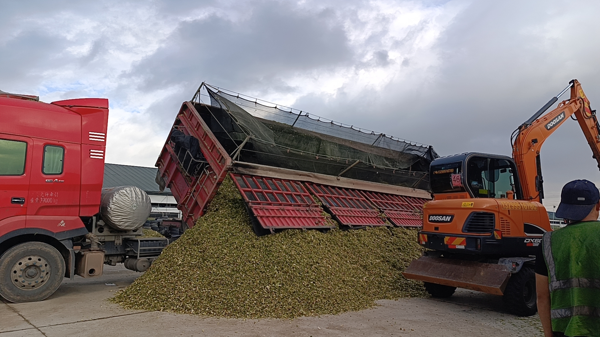 8月25日第一辆青贮拉运车辆在青贮平台进行卸车 (2).jpg 8月25日第一辆青贮拉运车辆在青贮平台进行卸车 (2).jpg