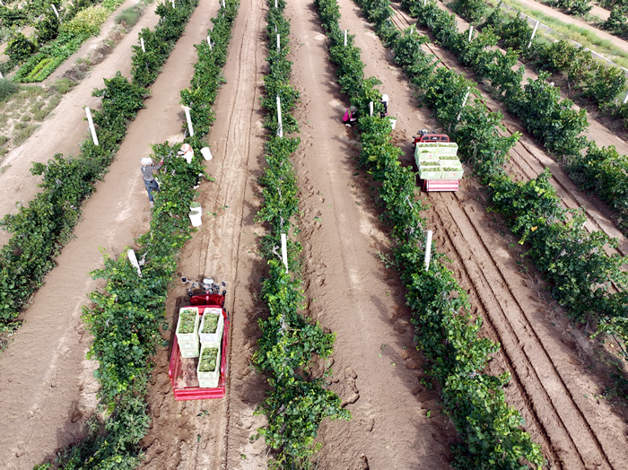 DJI_0324.JPG DJI_0324.JPG