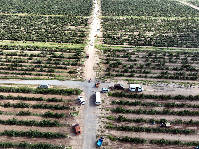 DJI_0325.JPG DJI_0325.JPG