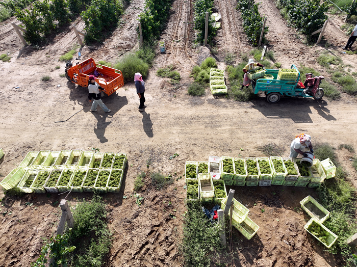 DJI_0332.JPG DJI_0332.JPG